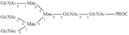 A3 glycan, procainamide labelled